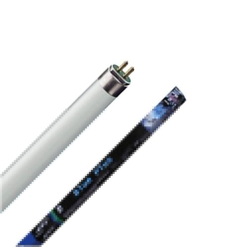 Ati blue plus neon - plus,
