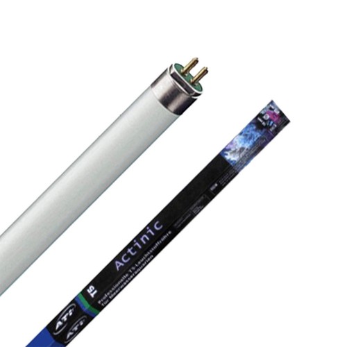 Ati actinic neon - t5, new