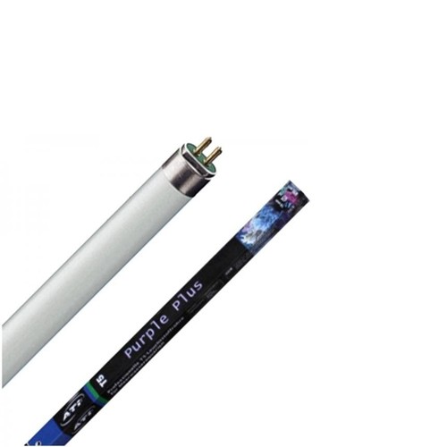 Ati purple plus neon - ati, t5
