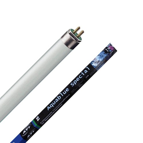 Ati aquablue special neon - aquablue,